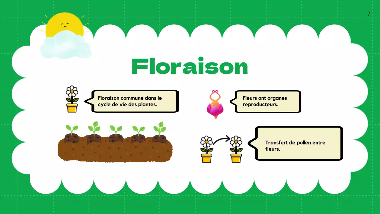 Plaine verte Cycles de vie des plantes Matériel de classe