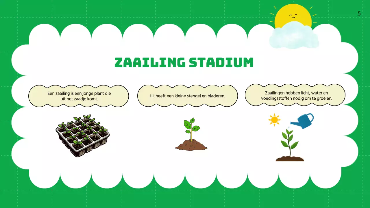 Groene vlakte Levenscycli van planten Lesmateriaal