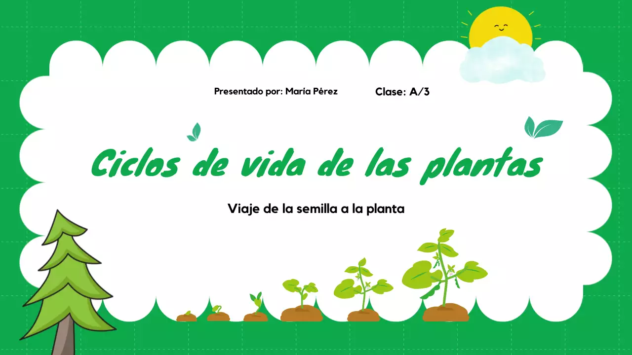 Llanura Verde Ciclos de vida de las plantas Material de clase