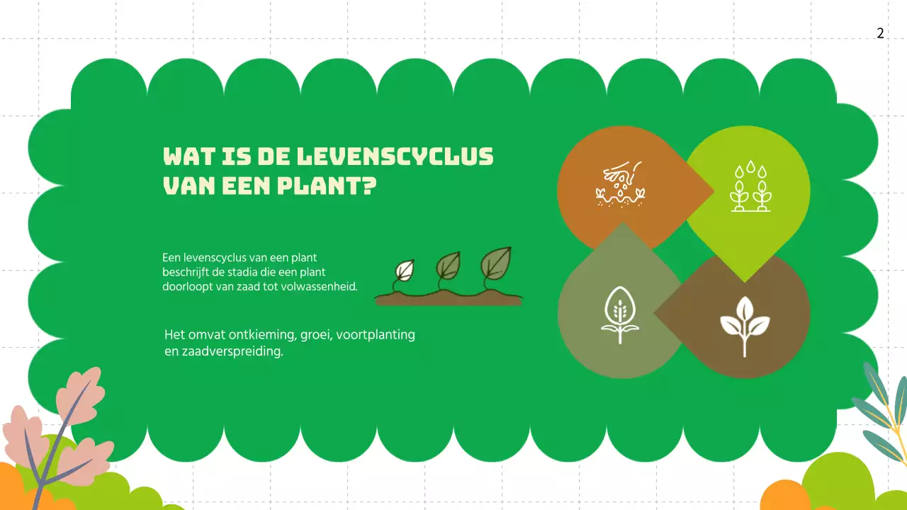 Groene vlakte Levenscycli van planten Lesmateriaal