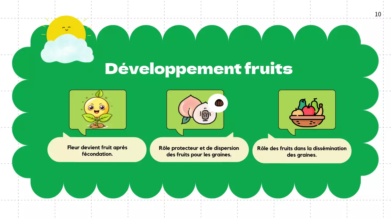 Plaine verte Cycles de vie des plantes Matériel de classe