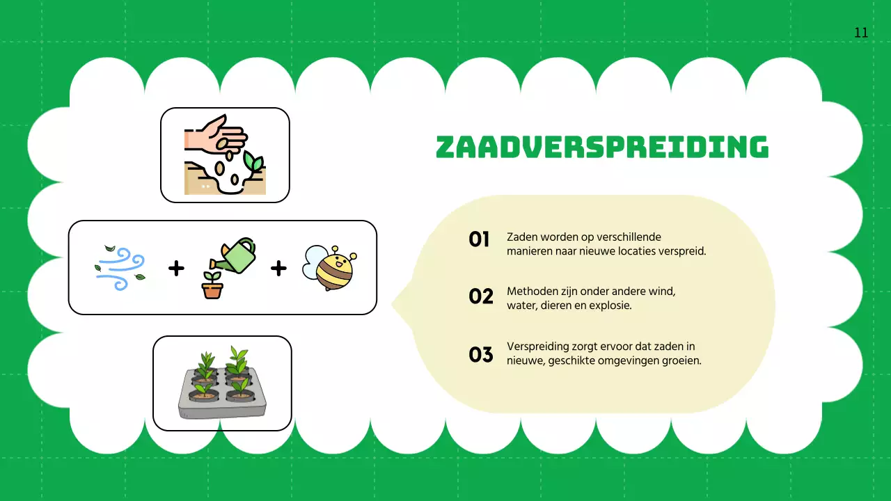 Groene vlakte Levenscycli van planten Lesmateriaal