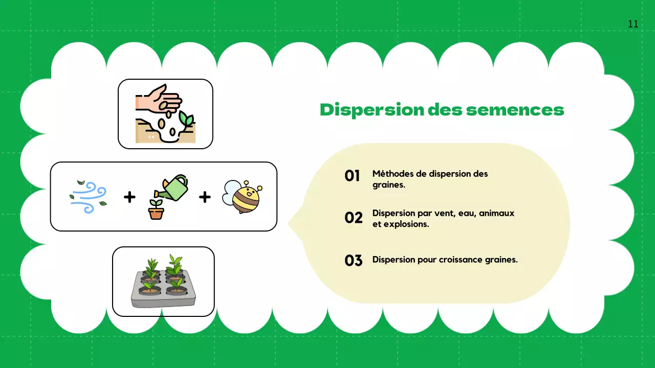 Plaine verte Cycles de vie des plantes Matériel de classe