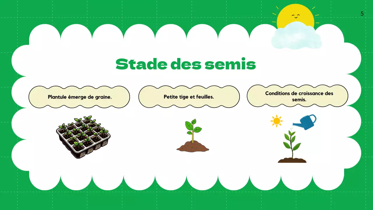 Plaine verte Cycles de vie des plantes Matériel de classe