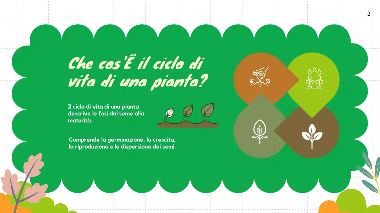 Pianura verde Cicli vitali delle piante Materiale di classe