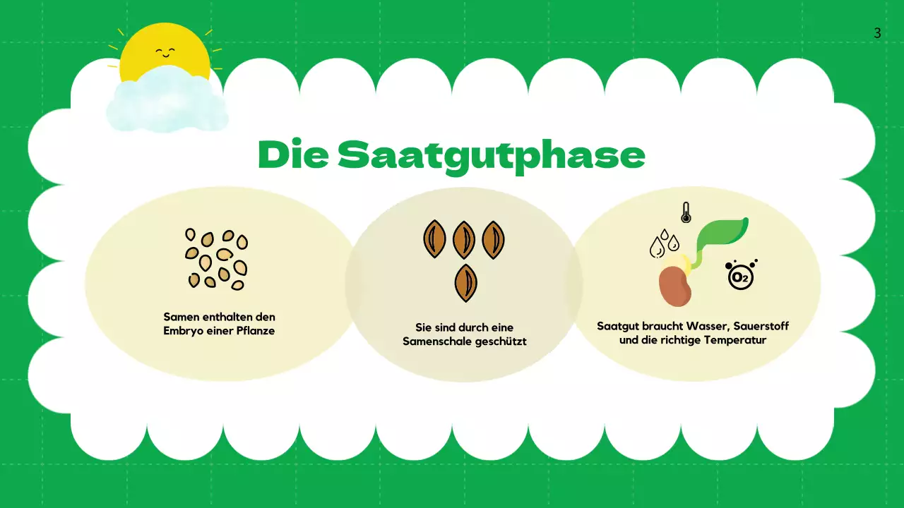 Green Plain Lebenszyklen von Pflanzen Unterrichtsmaterial