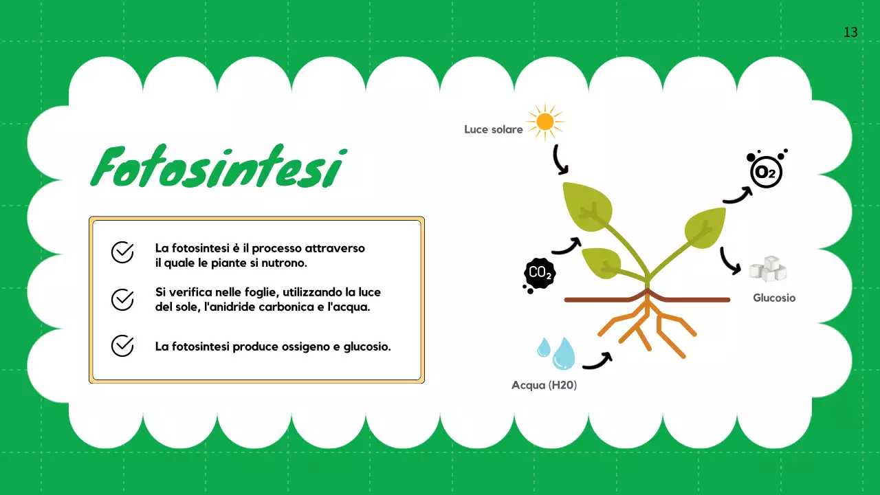 Pianura verde Cicli vitali delle piante Materiale di classe