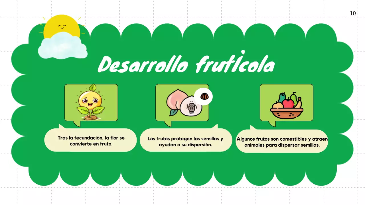 Llanura Verde Ciclos de vida de las plantas Material de clase