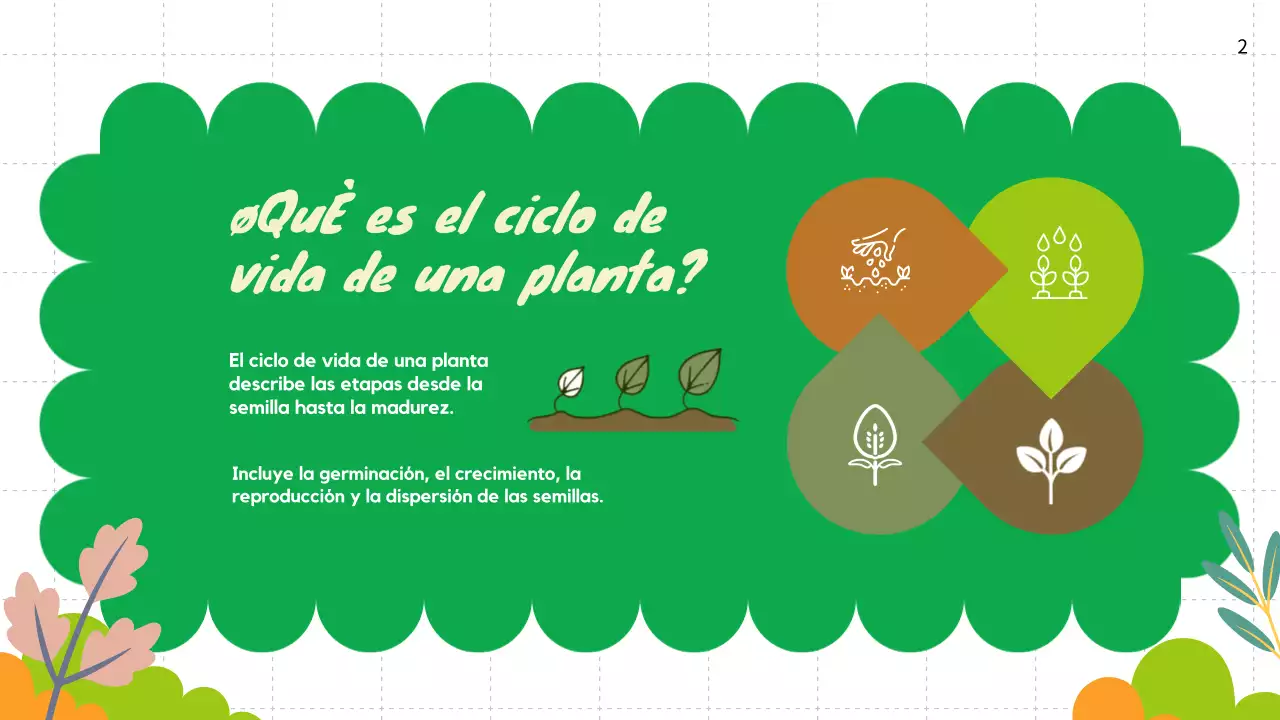 Llanura Verde Ciclos de vida de las plantas Material de clase