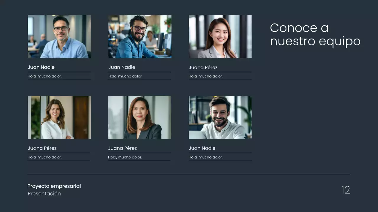 Gris Minimal Simple Business Project Proposal