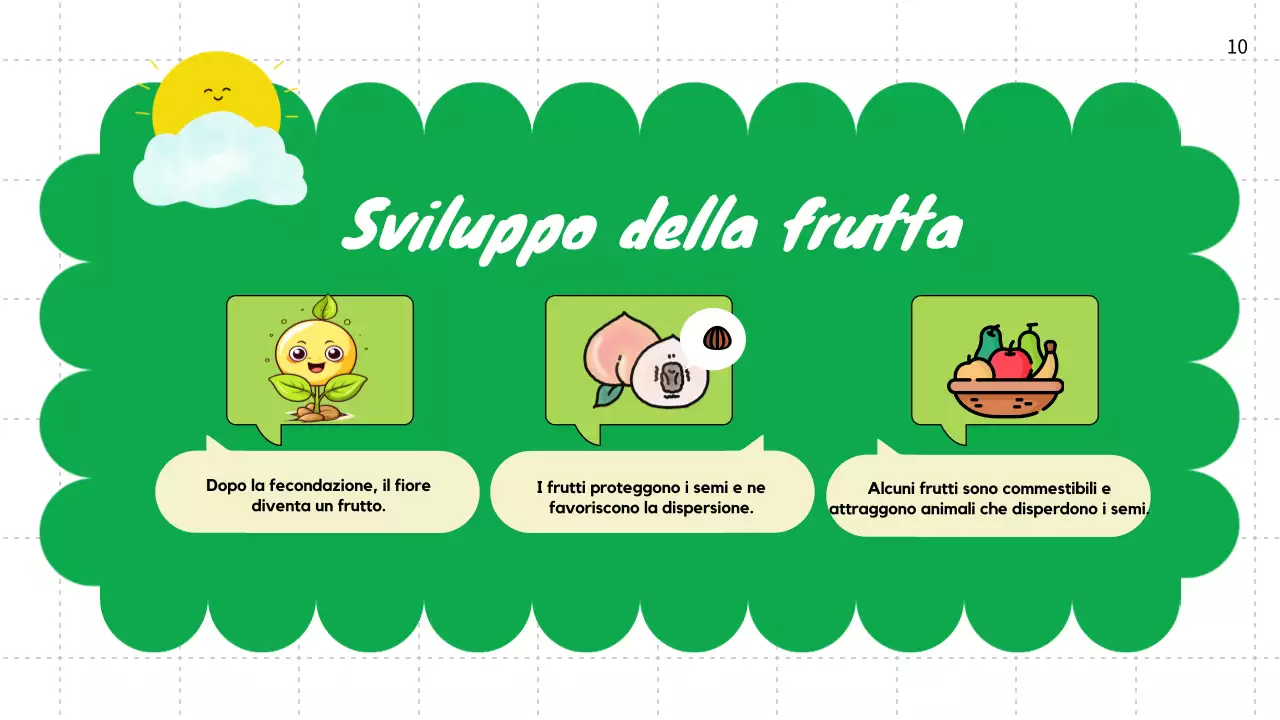 Pianura verde Cicli vitali delle piante Materiale di classe