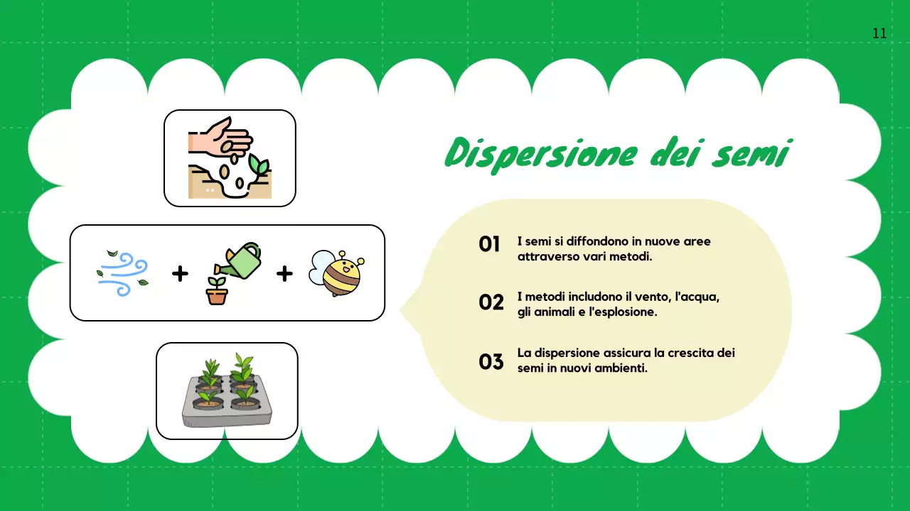 Pianura verde Cicli vitali delle piante Materiale di classe