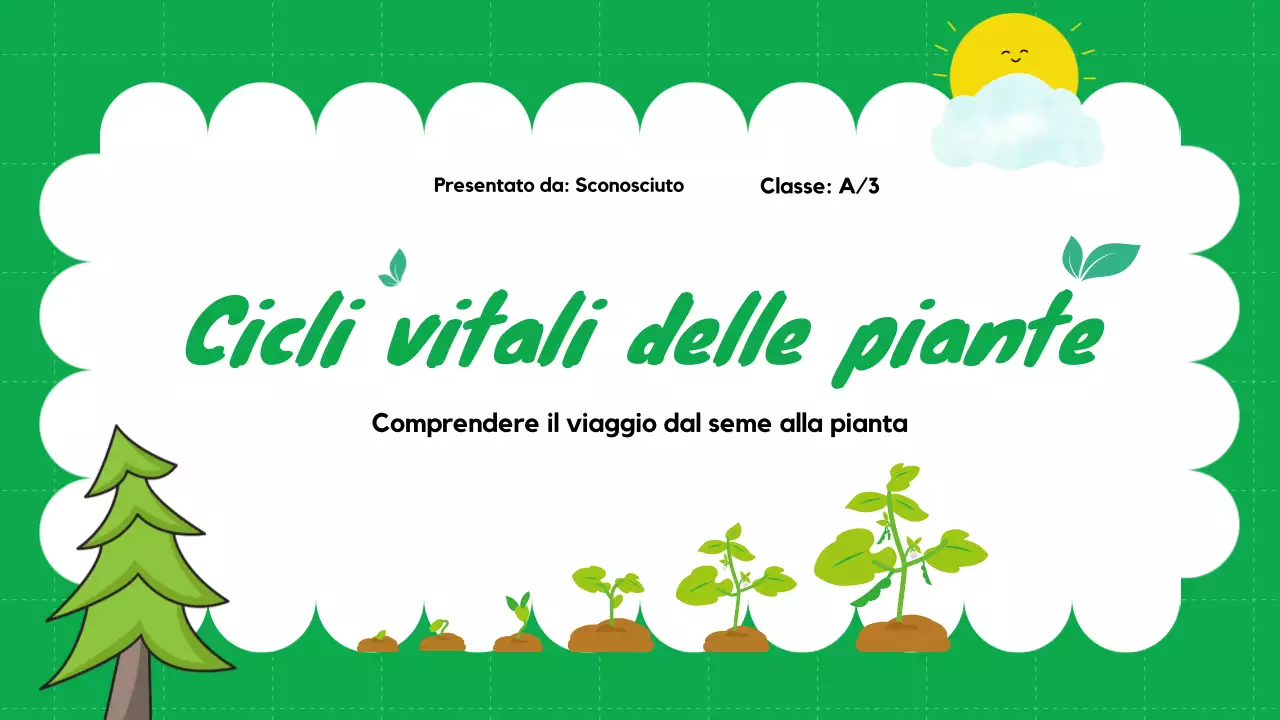Pianura verde Cicli vitali delle piante Materiale di classe