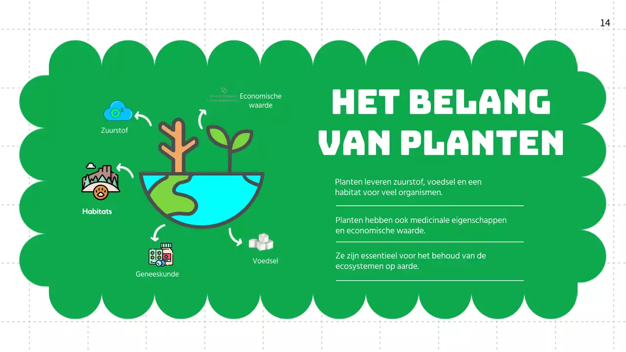 Groene vlakte Levenscycli van planten Lesmateriaal
