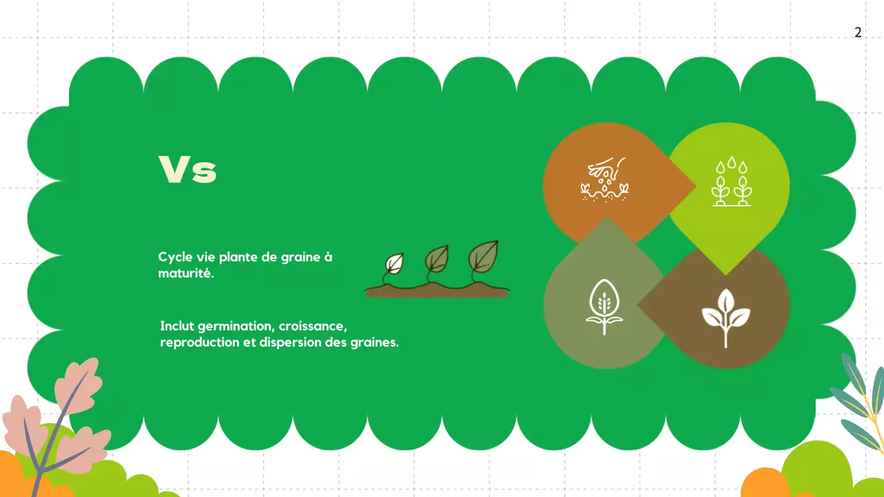 Plaine verte Cycles de vie des plantes Matériel de classe