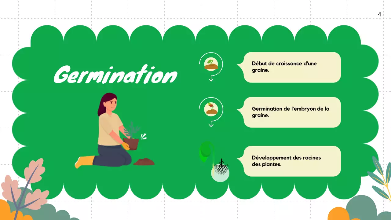 Plaine verte Cycles de vie des plantes Matériel de classe