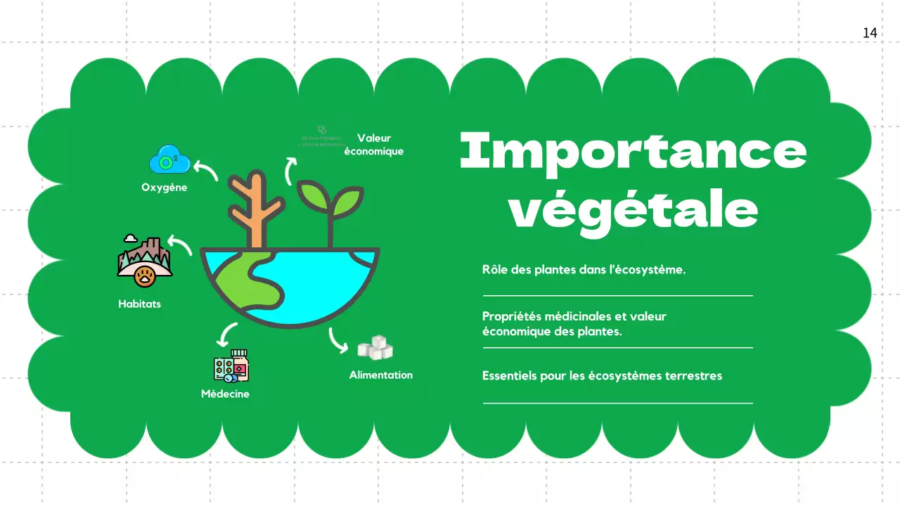 Plaine verte Cycles de vie des plantes Matériel de classe