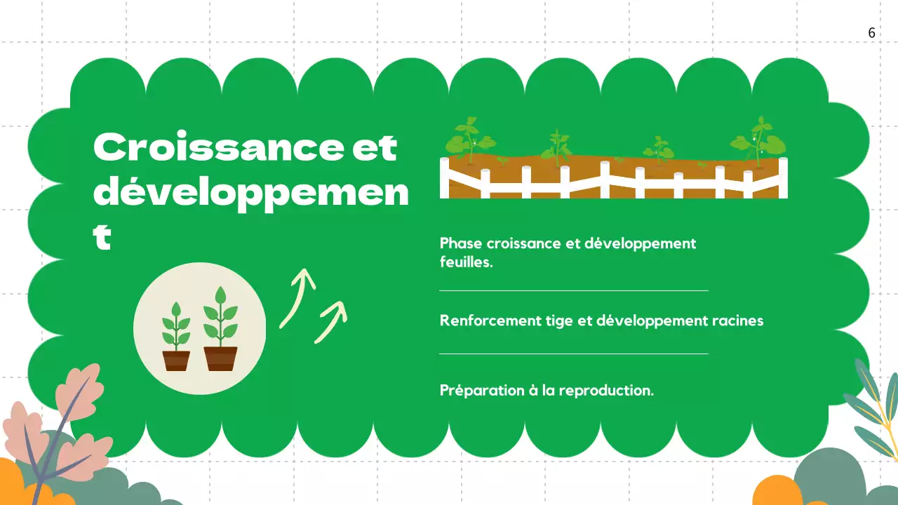 Plaine verte Cycles de vie des plantes Matériel de classe