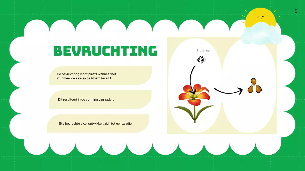 Groene vlakte Levenscycli van planten Lesmateriaal
