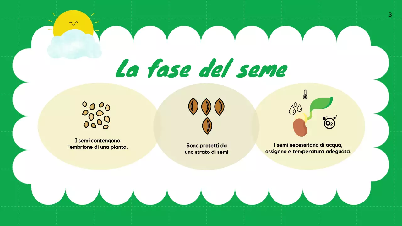 Pianura verde Cicli vitali delle piante Materiale di classe