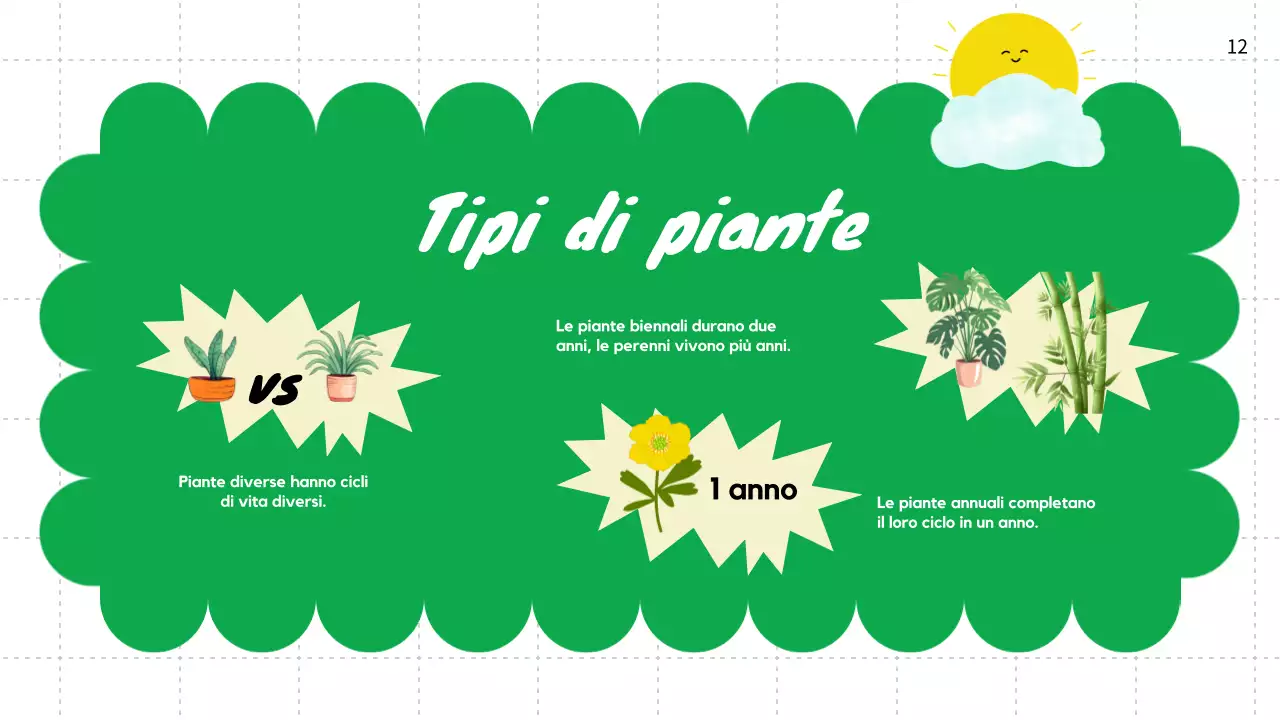 Pianura verde Cicli vitali delle piante Materiale di classe