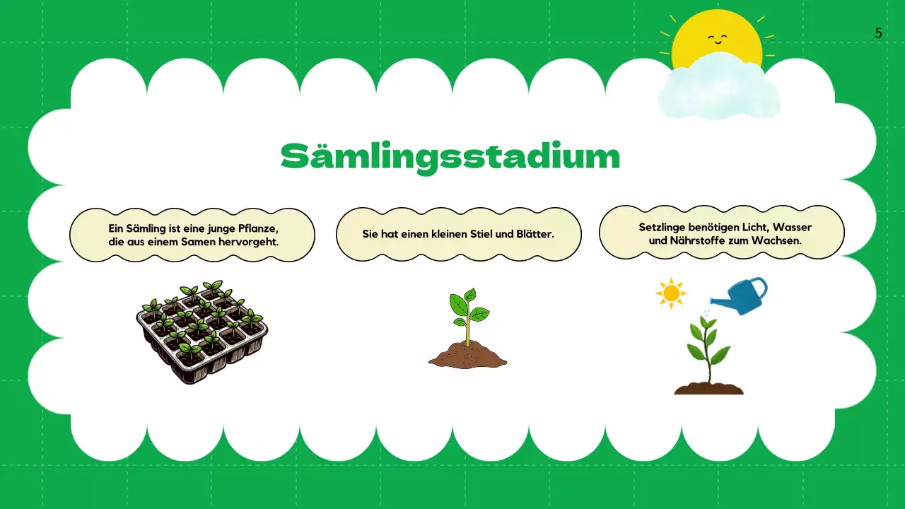 Green Plain Lebenszyklen von Pflanzen Unterrichtsmaterial