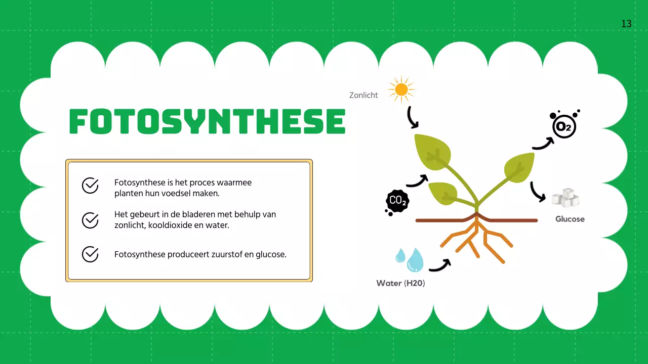 Groene vlakte Levenscycli van planten Lesmateriaal