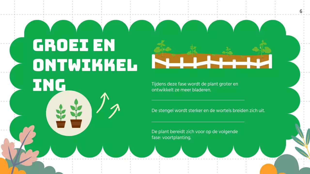 Groene vlakte Levenscycli van planten Lesmateriaal