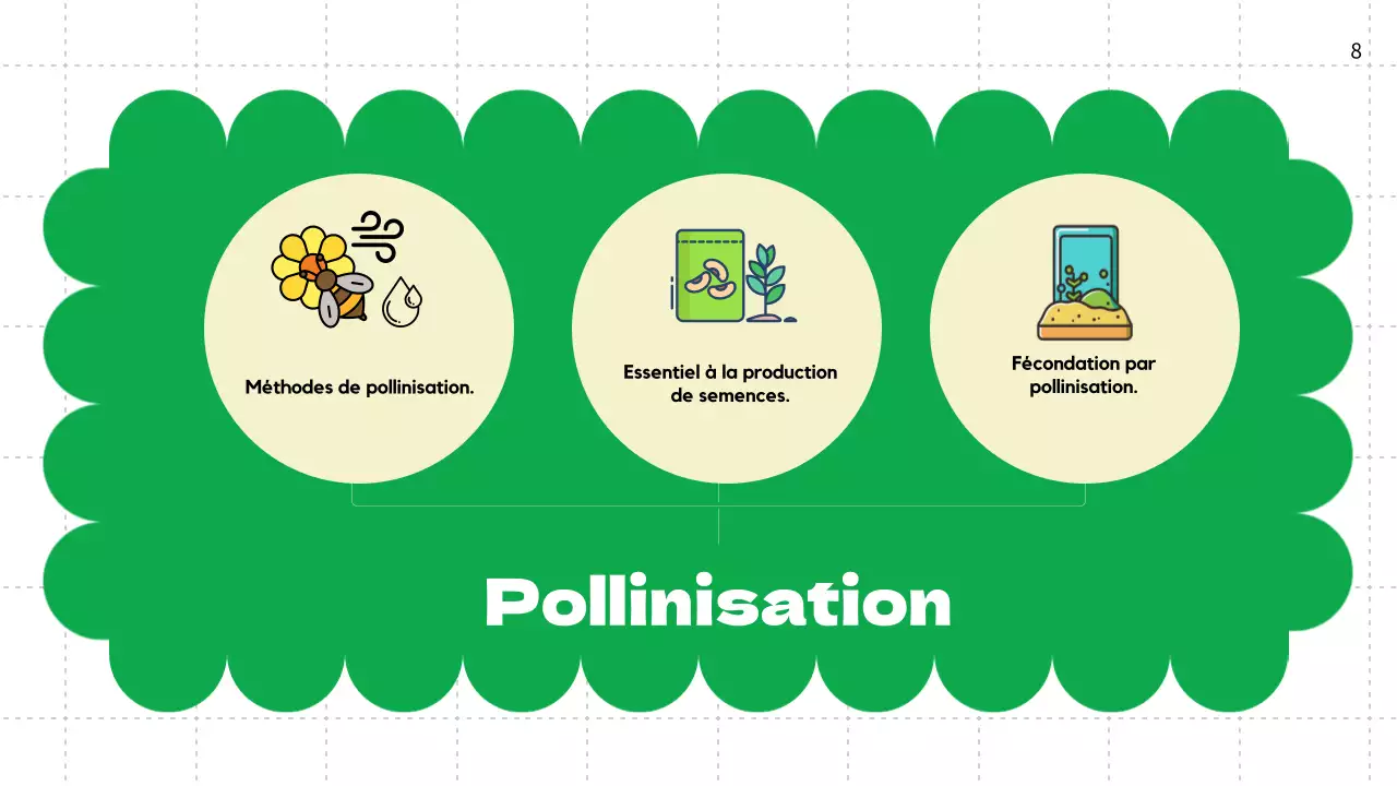 Plaine verte Cycles de vie des plantes Matériel de classe