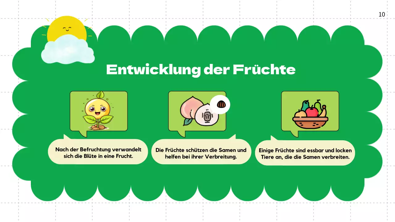 Green Plain Lebenszyklen von Pflanzen Unterrichtsmaterial