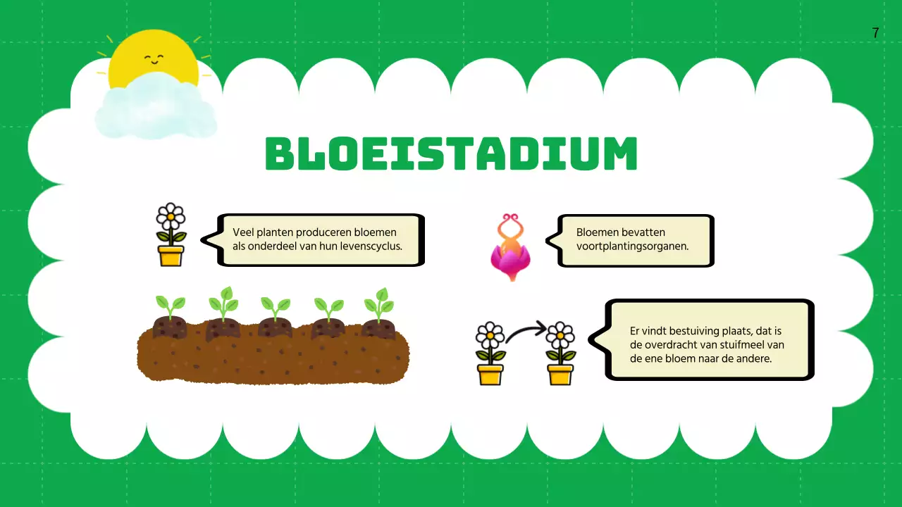 Groene vlakte Levenscycli van planten Lesmateriaal
