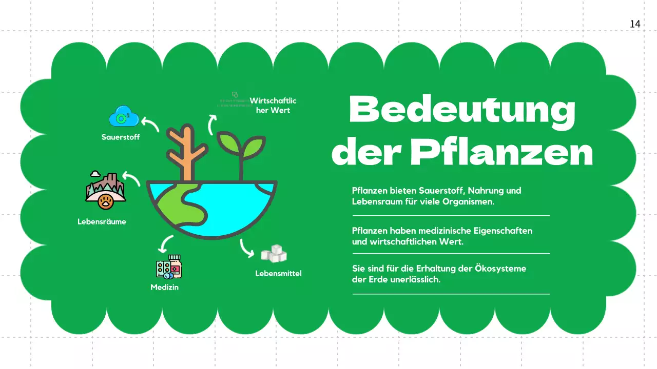 Green Plain Lebenszyklen von Pflanzen Unterrichtsmaterial