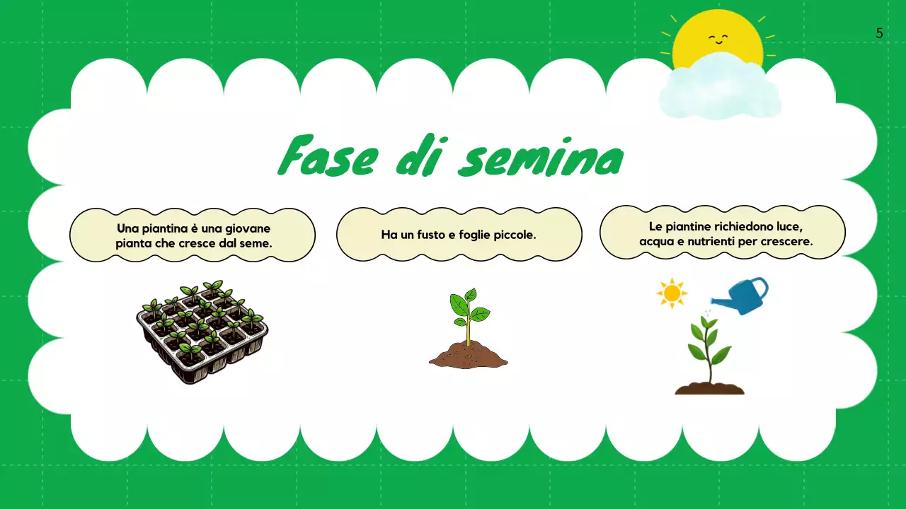 Pianura verde Cicli vitali delle piante Materiale di classe