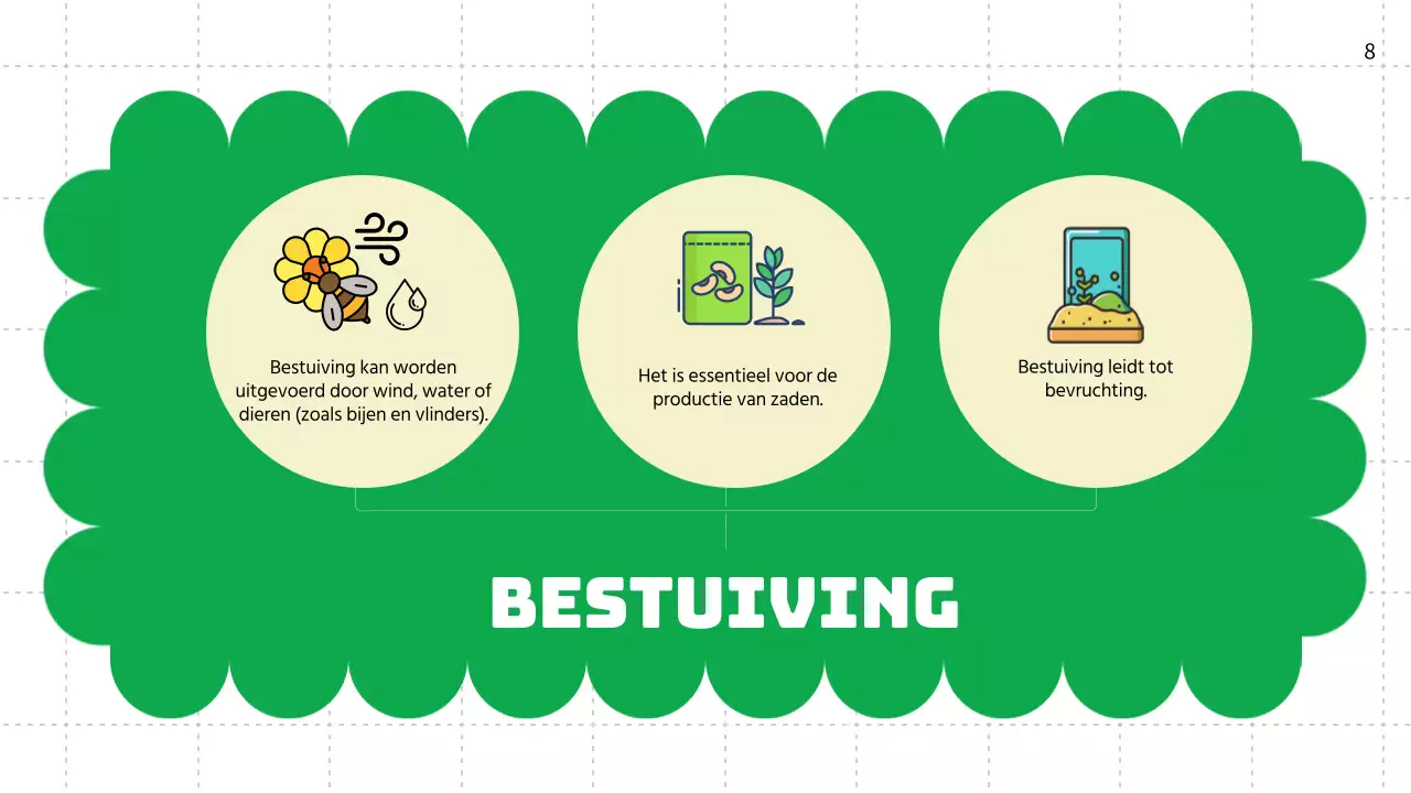 Groene vlakte Levenscycli van planten Lesmateriaal