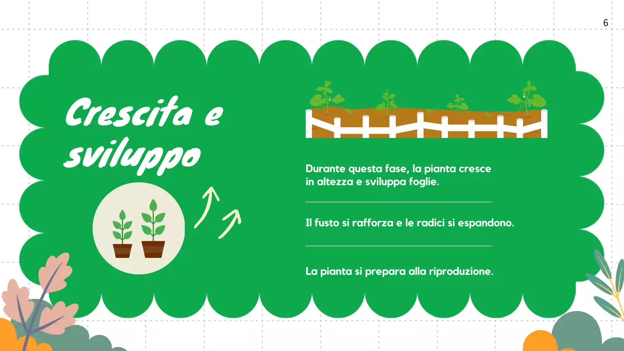 Pianura verde Cicli vitali delle piante Materiale di classe