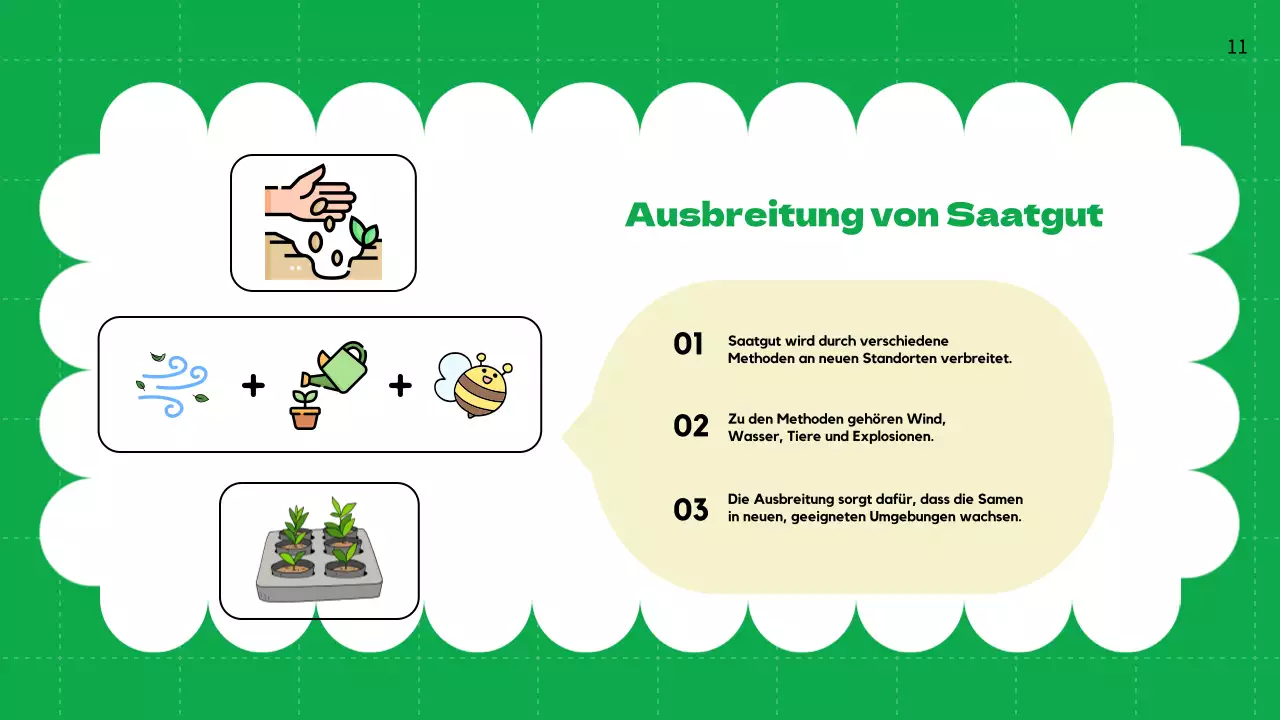 Green Plain Lebenszyklen von Pflanzen Unterrichtsmaterial