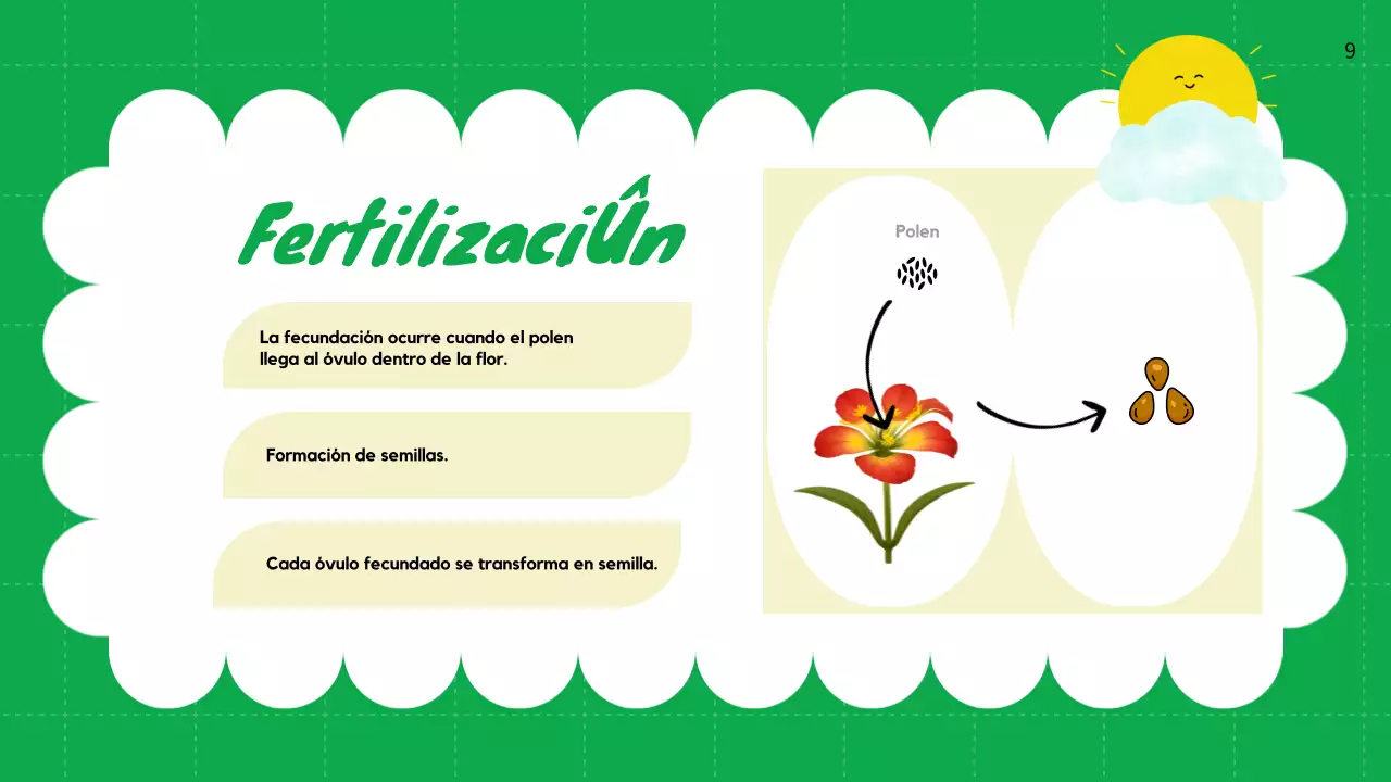 Llanura Verde Ciclos de vida de las plantas Material de clase