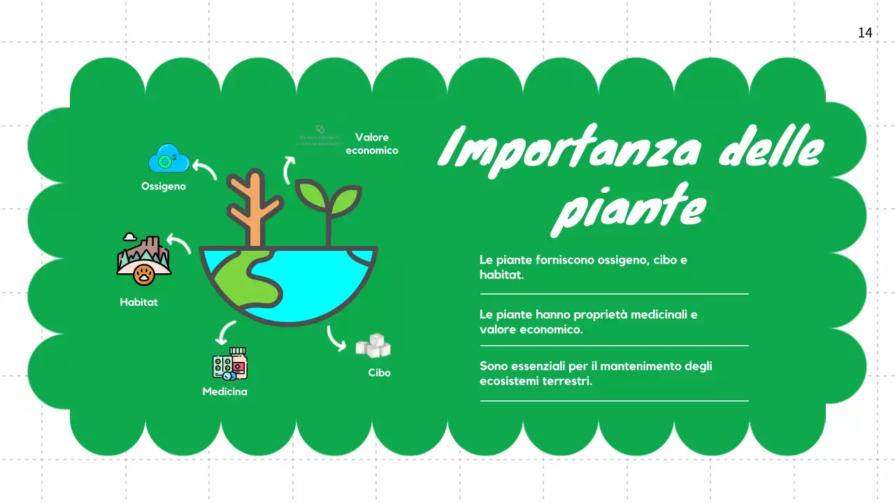 Pianura verde Cicli vitali delle piante Materiale di classe