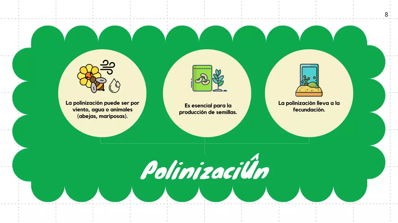 Llanura Verde Ciclos de vida de las plantas Material de clase