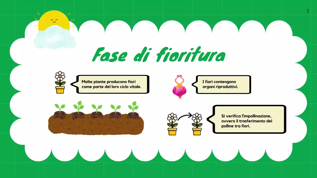 Pianura verde Cicli vitali delle piante Materiale di classe