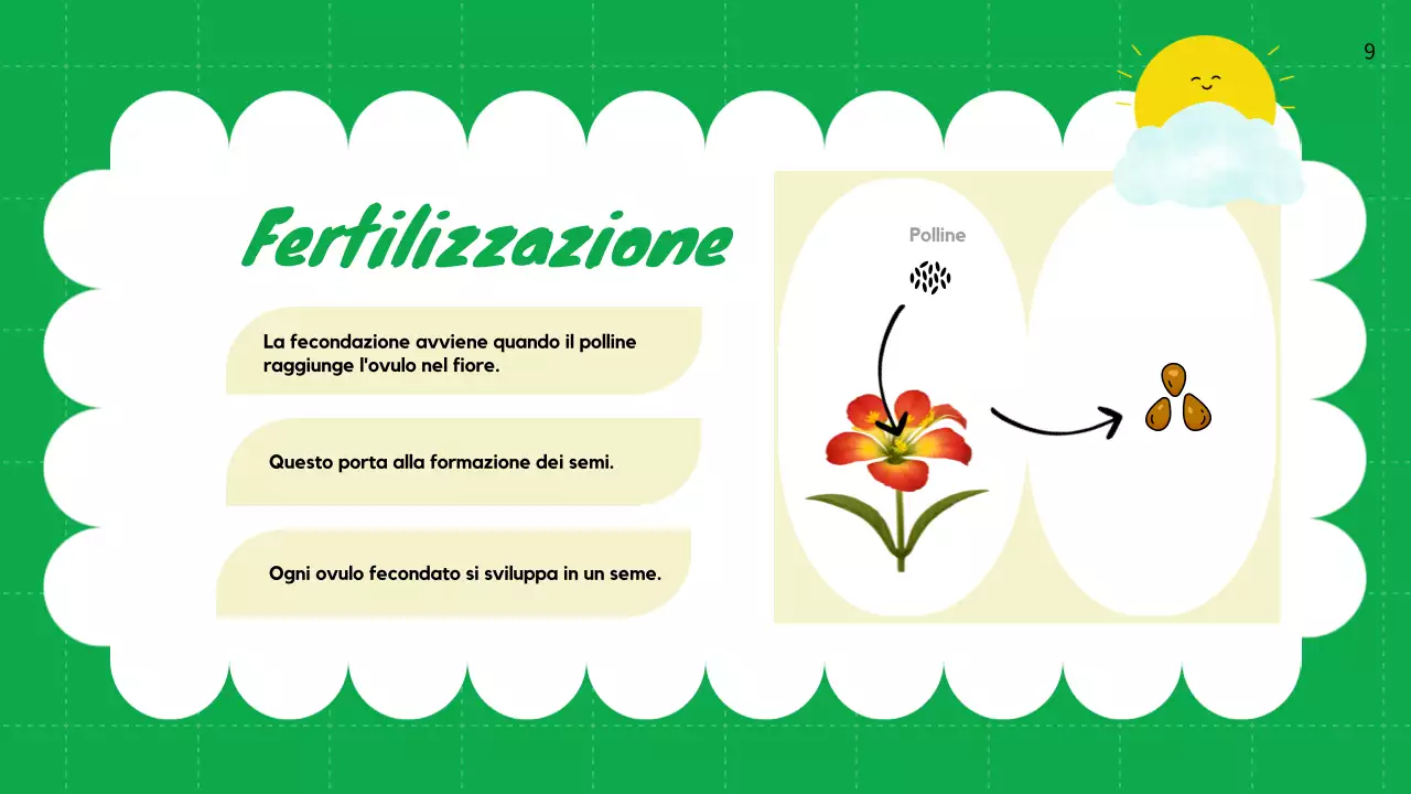 Pianura verde Cicli vitali delle piante Materiale di classe