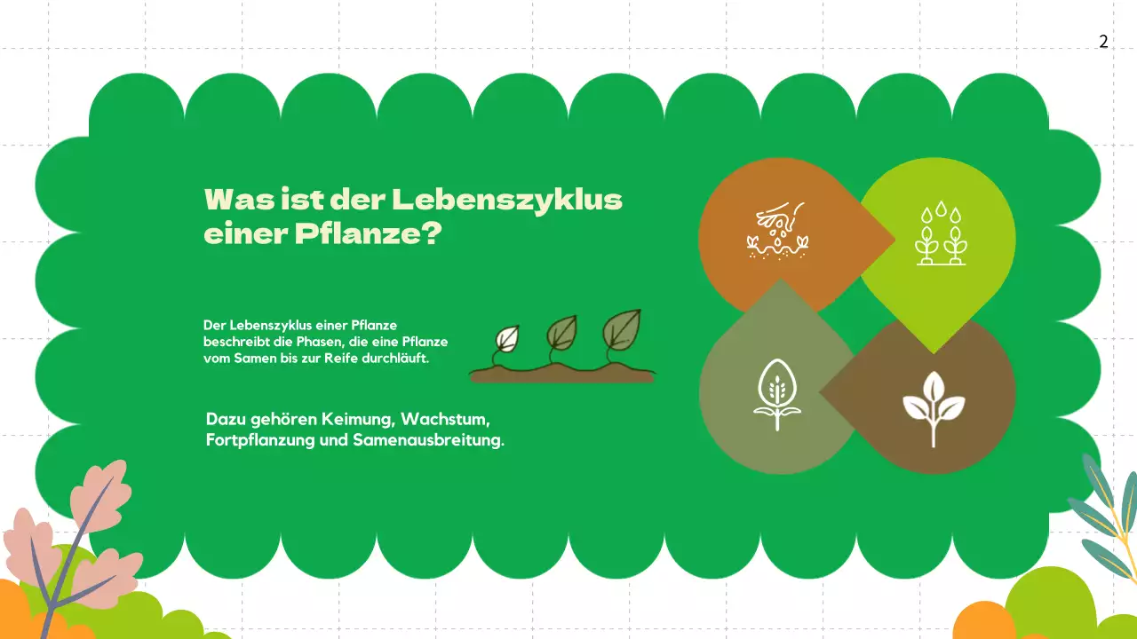 Green Plain Lebenszyklen von Pflanzen Unterrichtsmaterial