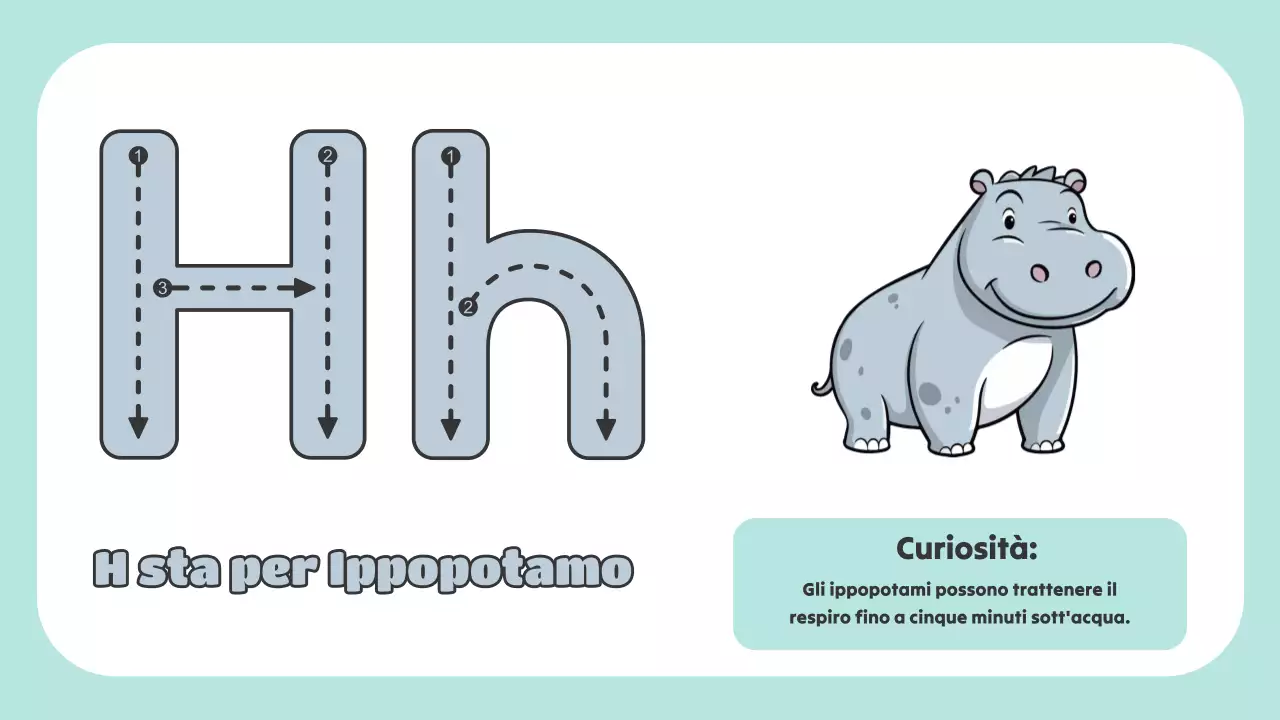 Animazione verde L'ABC degli animali Materiale di studio