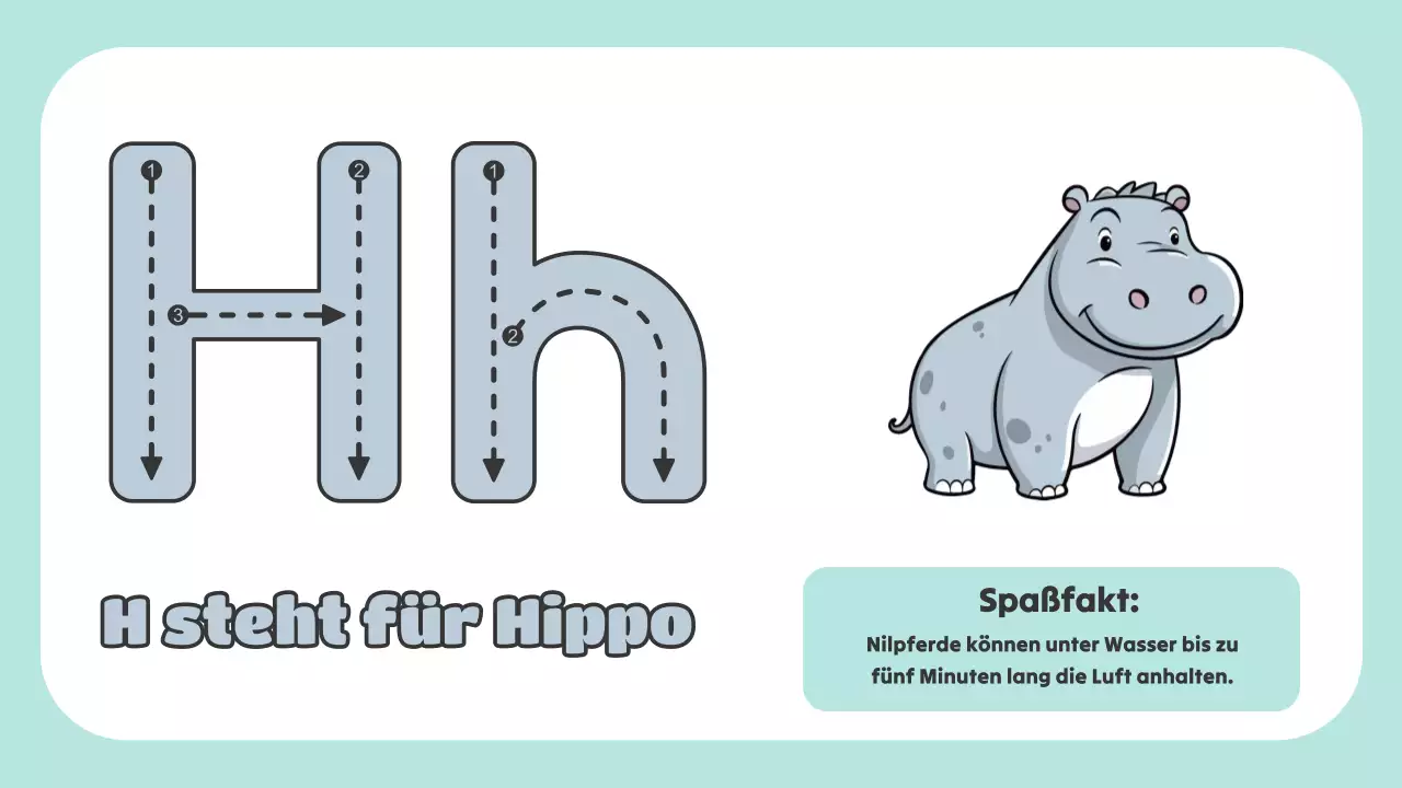 Grüne Animation Das ABC der Tiere Studienmaterial