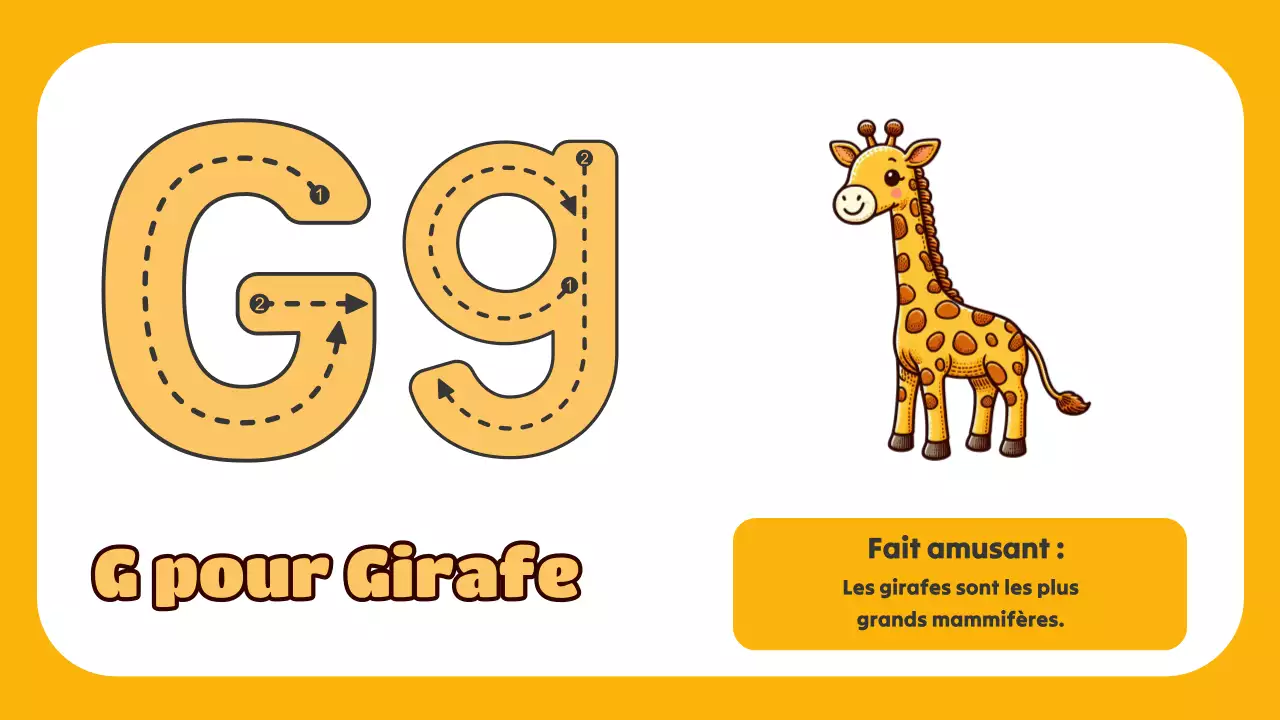 Animation verte L'ABC des animaux Matériel d'étude