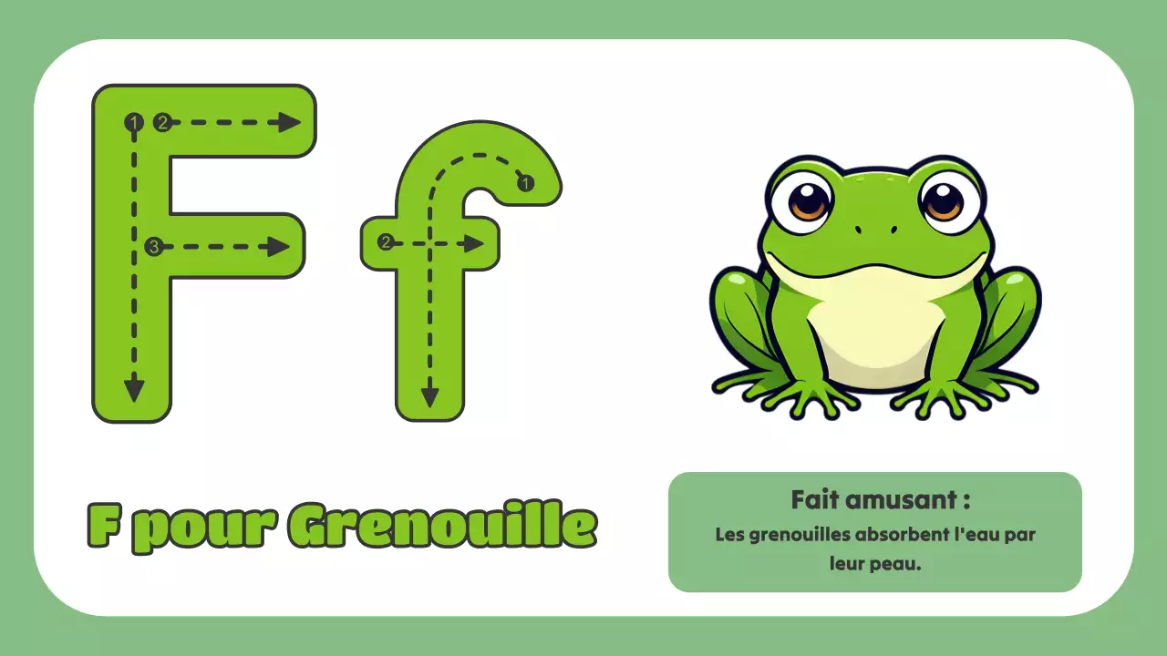 Animation verte L'ABC des animaux Matériel d'étude