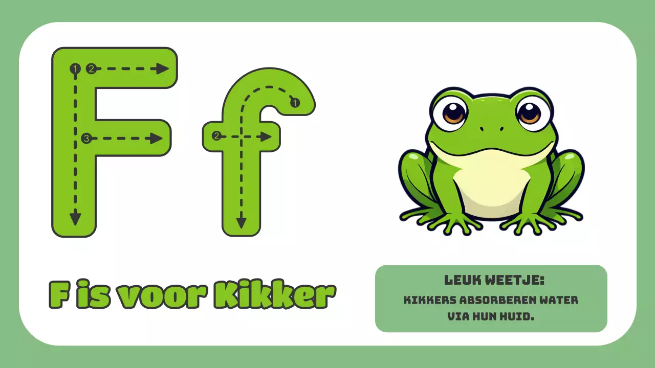 Groene Animatie Het ABC van Dieren Studiemateriaal