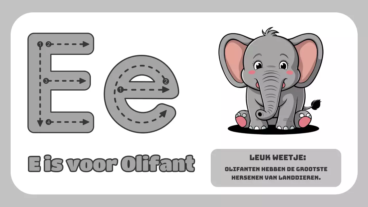 Groene Animatie Het ABC van Dieren Studiemateriaal