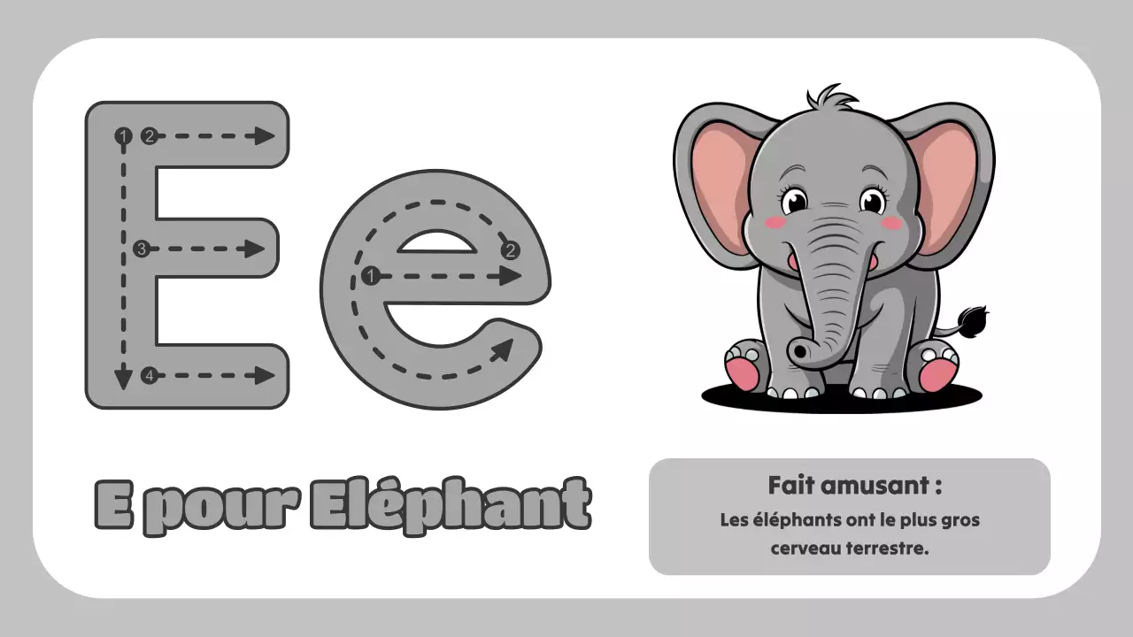 Animation verte L'ABC des animaux Matériel d'étude