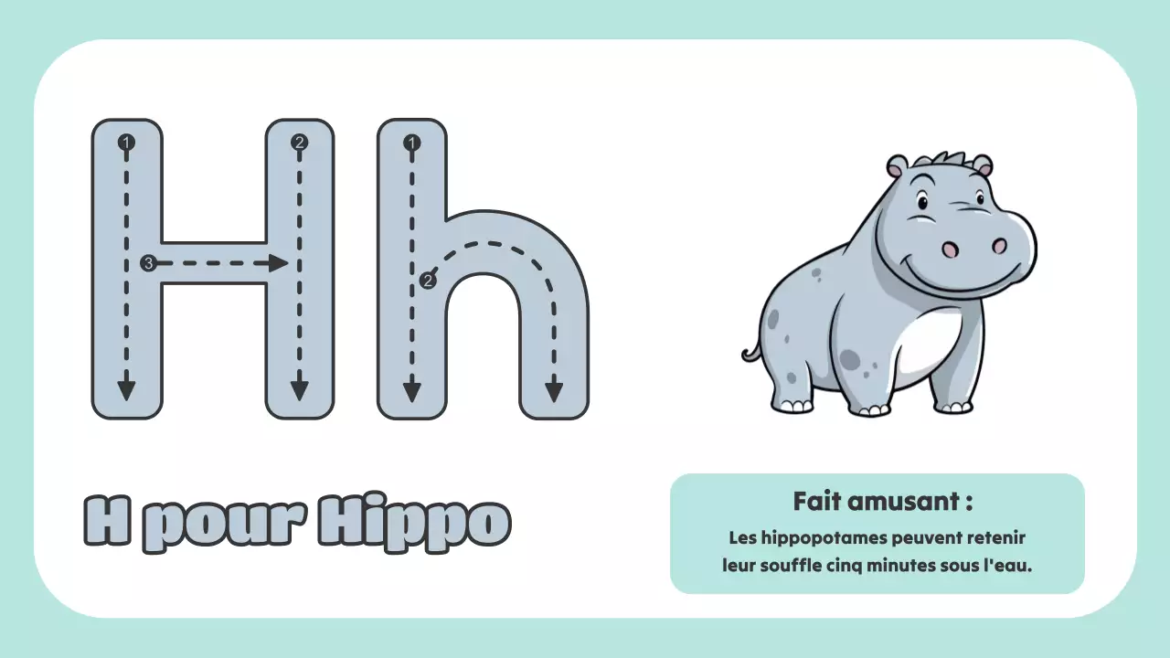 Animation verte L'ABC des animaux Matériel d'étude